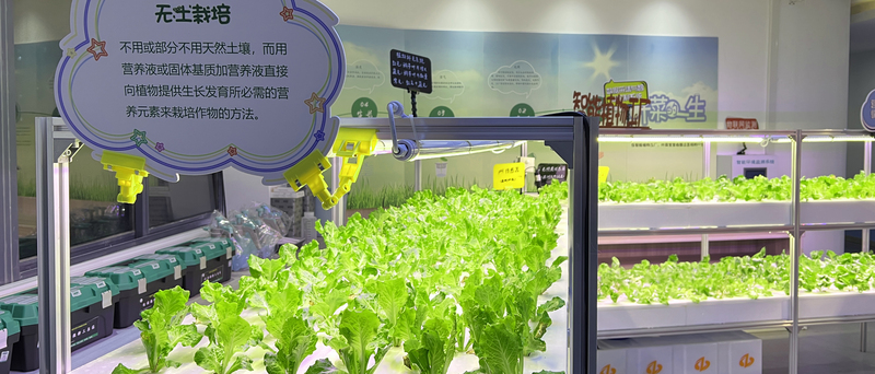 校园微耕劳动教育案例：
南京某小学未来劳动教育学院